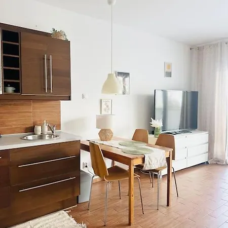 Studio Mysliwska Park Boho 格但斯克